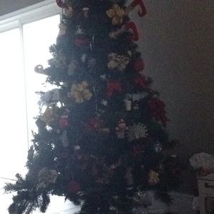 Meet your Posher, Teresa